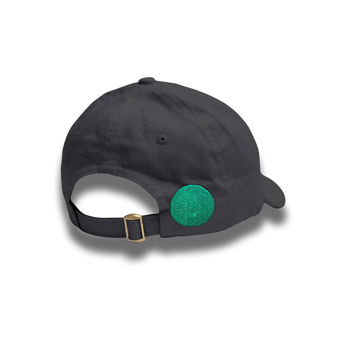Tony Bennett & Lady Gaga LOVE FOR SALE Cap 191354