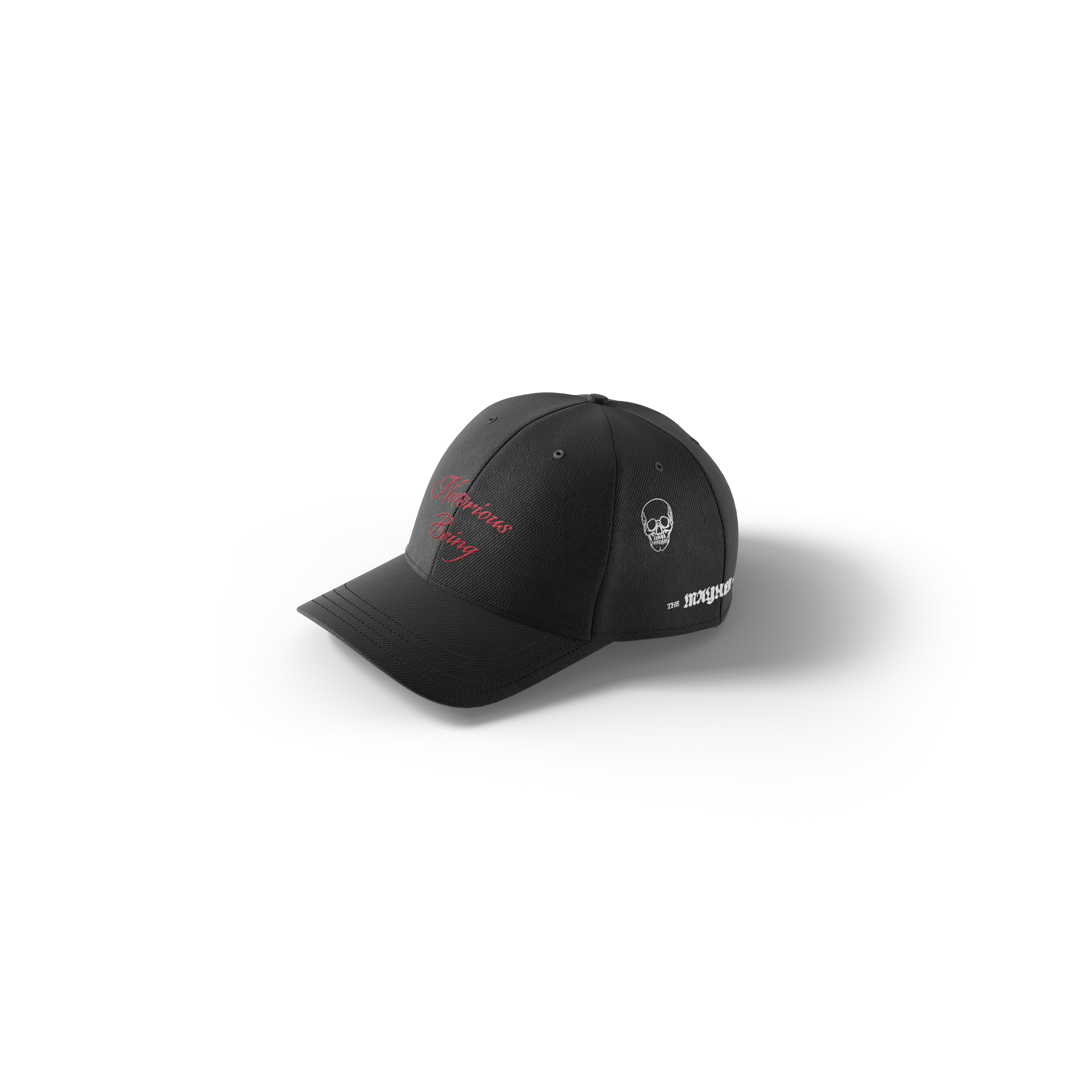 Lady Gaga Notorious Being Cap Cap 415008